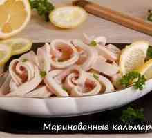 Podrobné recepty nakladanej chobotnice s obrázkami