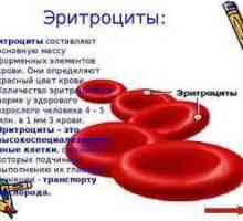 Zvýšené červené krvinky v krvi dieťaťa