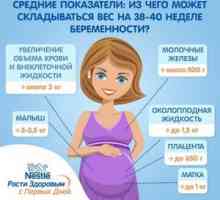 Zvýšenie telesnej hmotnosti v tehotenstve