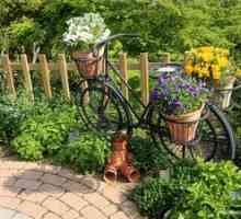 Recepcie príslušného zariadenia na záhradné dekorácie, dekoratívne materiály