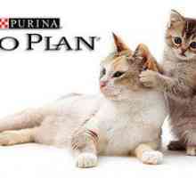 Proplan: zloženie a sortiment mačiek z purínu