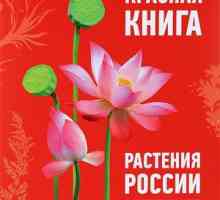 Rastliny, ktoré sú uvedené v červenej knihe Ruska