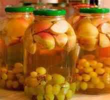 Recepty kompoty pre zimné multifruit