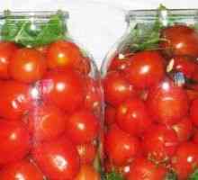 Recepty ľahko slaných paradajok: rýchle varenie v hrnci
