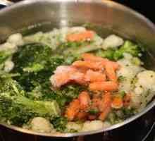 Recepty na varenie mrazenej zeleniny