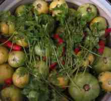 Recepty na solenie zelených paradajok na zimu, lahodné solené rajčiny