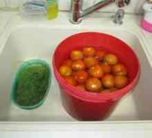 Recepty na morenie zelených paradajok v kocke a špičkách