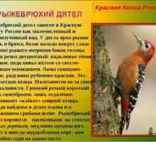Zriedkavé a ohrozené druhy vtákov zahrnuté v červenej knihe