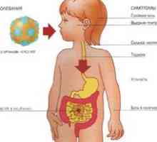 Infekcia spôsobená rotavírusom: príznaky a liečba. Rotavirus u detí