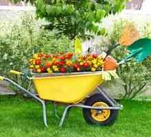 Záhradný vozík: štrukturálne prvky a výberové kritériá