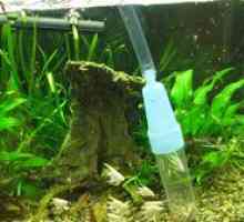 Sifón na čistenie akvária. Typy akváriových sifónov a odporúčania