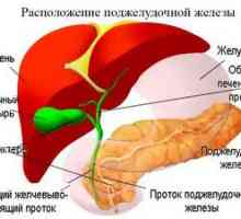 Príznaky, liečba a diéta pri ochorení pankreasu