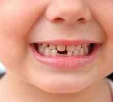Koľko detských zubov majú deti?