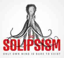 Solipsizmus. Smer a interpretácia vo filozofii