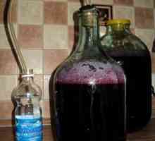 Spôsoby výroby vína z fermentovaného kompótu