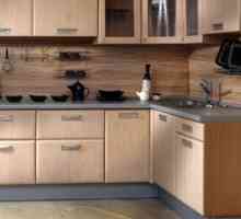 Nástenné panely pre kuchyňu: výberové kritériá a fotografie