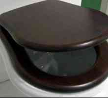 Stoličky a ich typy: ako si vybrať veko pre záchodovú misku