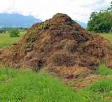 Prasa ako hnojivo: prínos a poškodenie pôdy