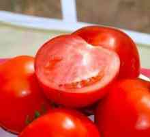 Tomato Bobkat: opis a charakterizácia odrody, výhody