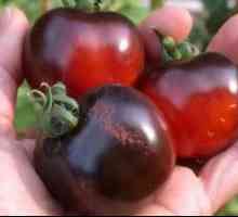 Tomato black maur - opis a charakterizácia odrody