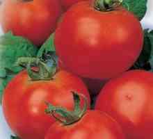 Tomato "červená čiapka": charakteristika