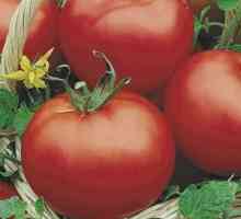 Tomato `Sibírske skoré dozrievanie `: vlastnosti a opis odrody