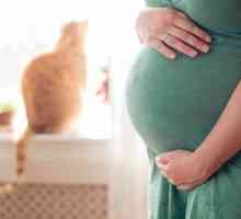 Tridsiaty týždeň tehotenstva - čo vyzerá brucho, čo sa stane