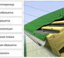 Zariadenie strechy z kovu pre dom