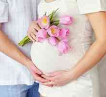 Sterilita v tehotenstve, ako užívať čapíky