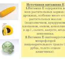 Aké potraviny obsahujú vitamín E: hlavný prínos a škodu