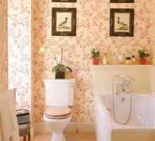 Kúpeľňa: tekuté tapety, cena, foto