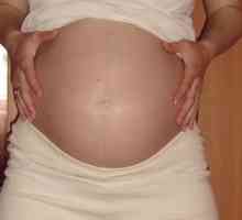 Slepičík pri gravidných ženách: je to nebezpečné alebo nie?