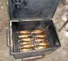 Typy fajčenia, typy udírní a ako variť ryby v kopílke
