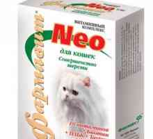 Vitamíny pre mačky zo straty vlasov