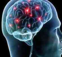 Vitamíny pre mozog: účinok na pamäť a myseľ