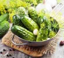Vynikajúce krehké ľahko slané uhorky: recepty na rýchle varenie