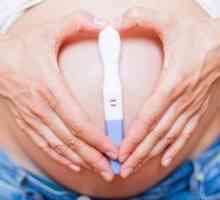 Je možné tehotenstvo po potrate a po akom čase