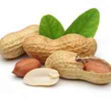 Škody a prínosy arašidov pre ľudské telo, vlastnosti pražených orechov