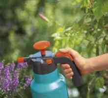 Výber postrekovača ručnej pumpy pre záhradu
