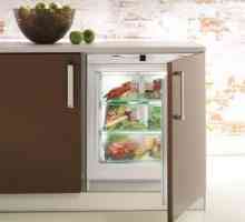 Výber vstavanej chladničky: rozmery a montáž