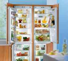Výber vstavanej chladničky: funkcie a rozmery modelu