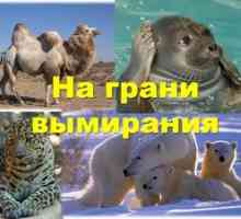 Ohrozené zvieratá na území Ruska, ohrozené druhy rastlín