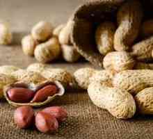 Pestovanie arašidov doma v ukrajine