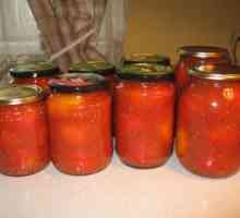 Polotovary pre zimné paradajky vo svojom receptúre šťavy recept na paradajky