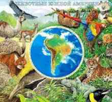 Živočíšny a rastlinný svet Južnej Ameriky