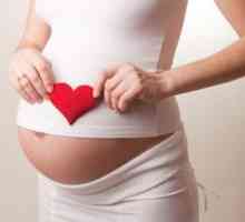 Život budúcej matky a vývoj dieťaťa počas 7 mesiacov tehotenstva