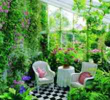 Zimná záhrada v súkromnom dome: umiestnenie a dekorácia