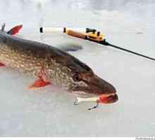 Zimný rybolov pre šťuku, ako najlepšie chytiť a aký výstroj