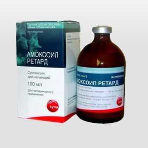 Amoxoyl retard a amoxicilín pre mačky: aplikácia