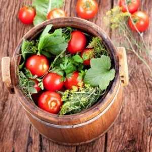 Recepty bábätka na paradajku v sudoch: ako správne soľ?